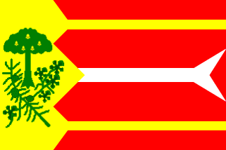 Flags of Alpartir