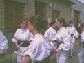Dance de Herrera de los Navarros en el año 2003