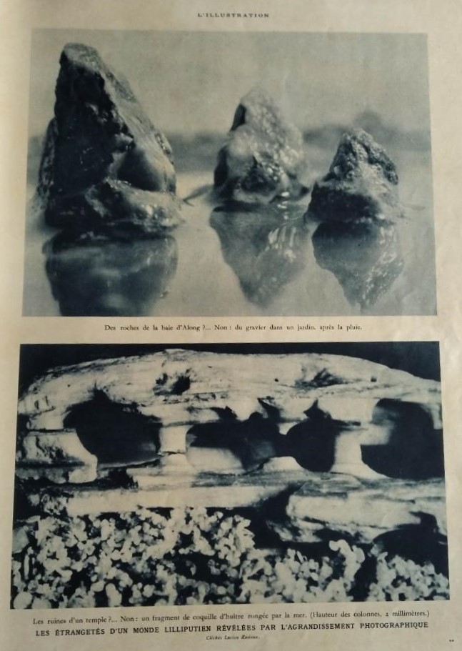 L'Illustration. 19 décembre 1931. 4633. Page 3