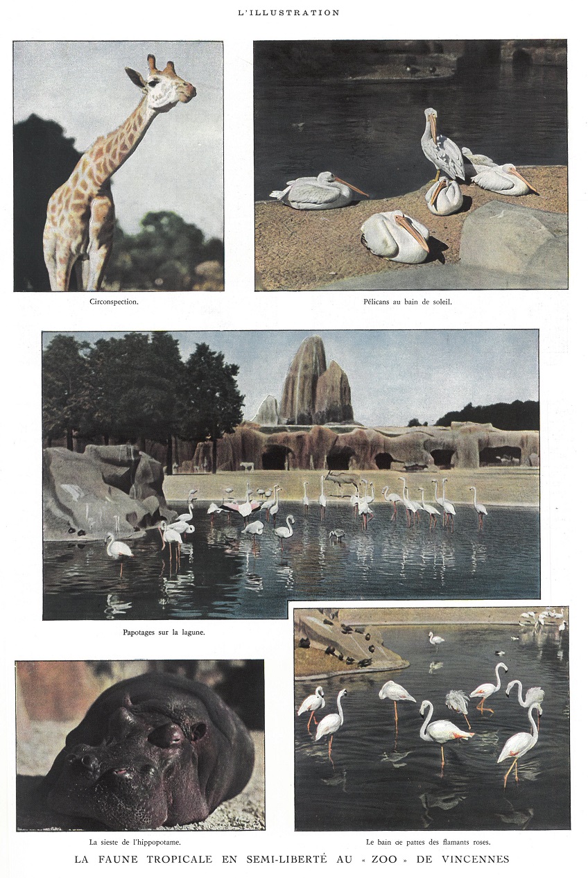 L'Illustration 4856 - 28 mars 1936 pag. 377