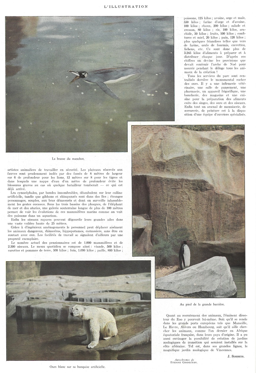 L'Illustration 4856 - 28 mars 1936 pag. 378