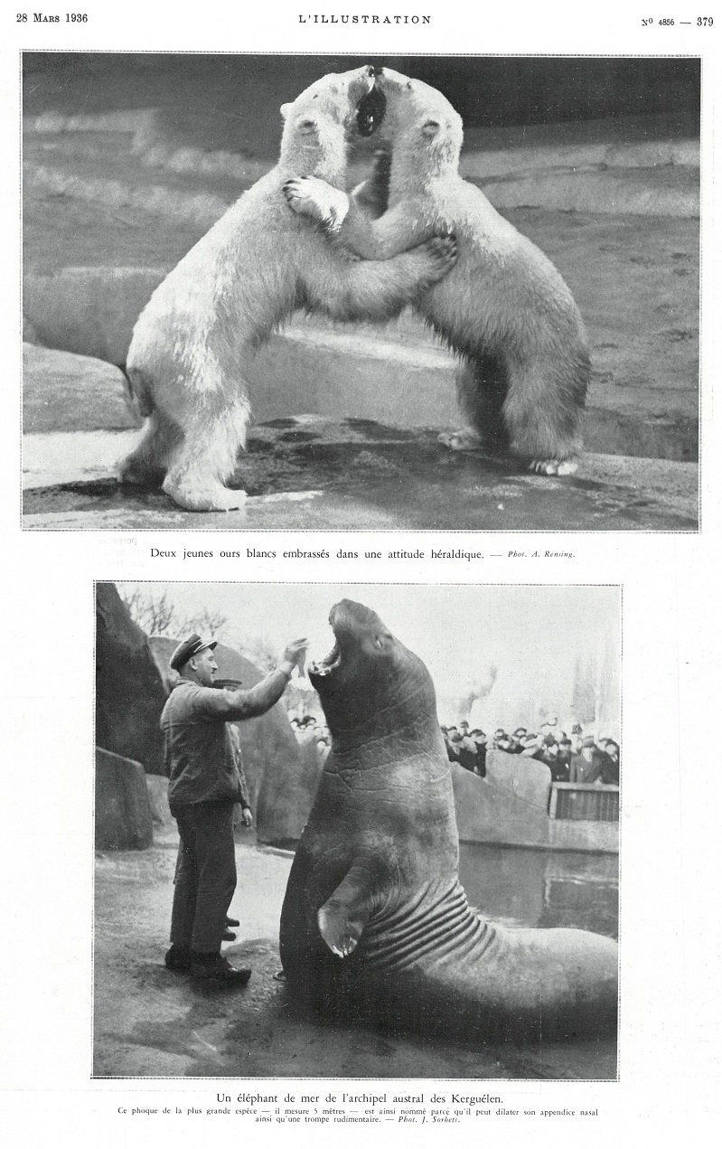 L'Illustration 4856 - 28 mars 1936 pag. 379